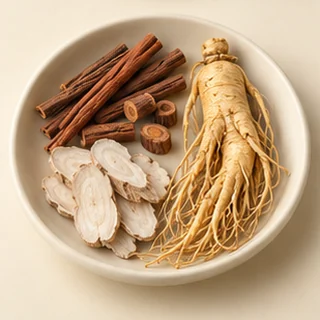 桂枝加人参附子汤