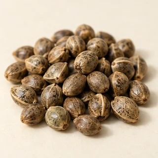 火麻仁