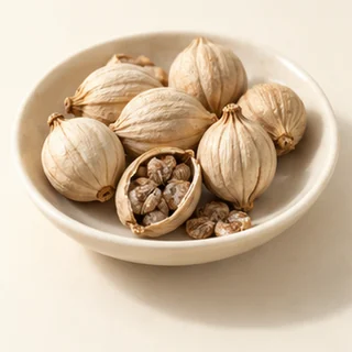 豆蔻
