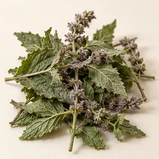 薄荷