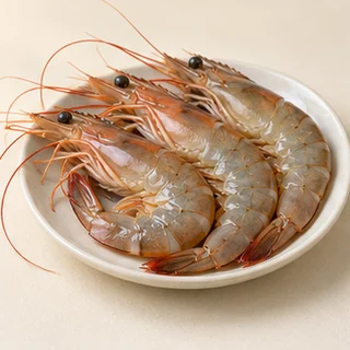 虾
