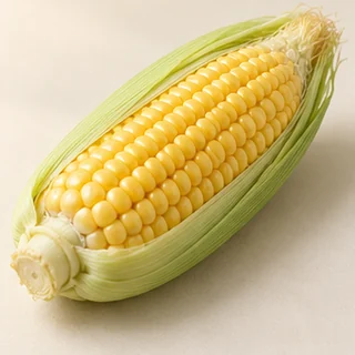 玉米