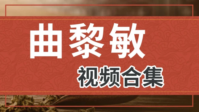 曲黎敏视频合集