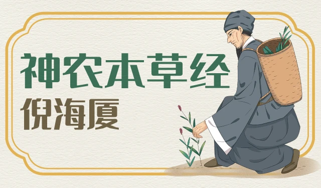倪海厦-神农本草经-有字幕