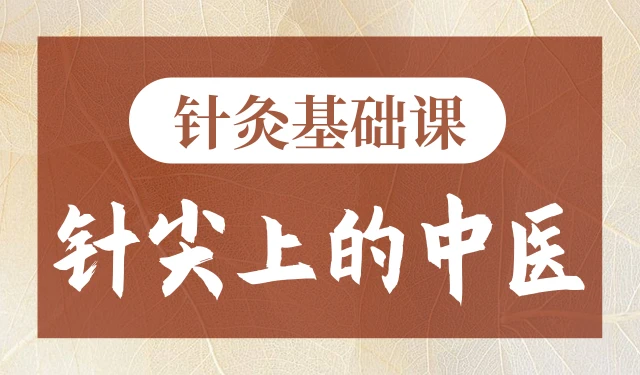 针灸基础课-针尖上的中医
