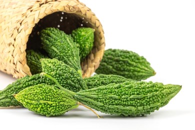 中草药小知识：木鳖子的功效及作用介绍