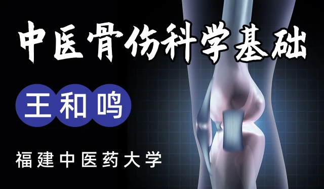 中医骨伤科学基础-王和鸣-福建中医药大学