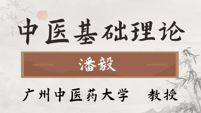 中医基础理论-潘毅-广州中医药大学-121讲全-有字幕