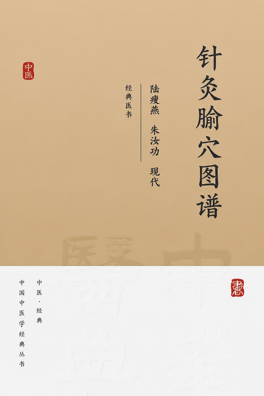 针灸腧穴图谱