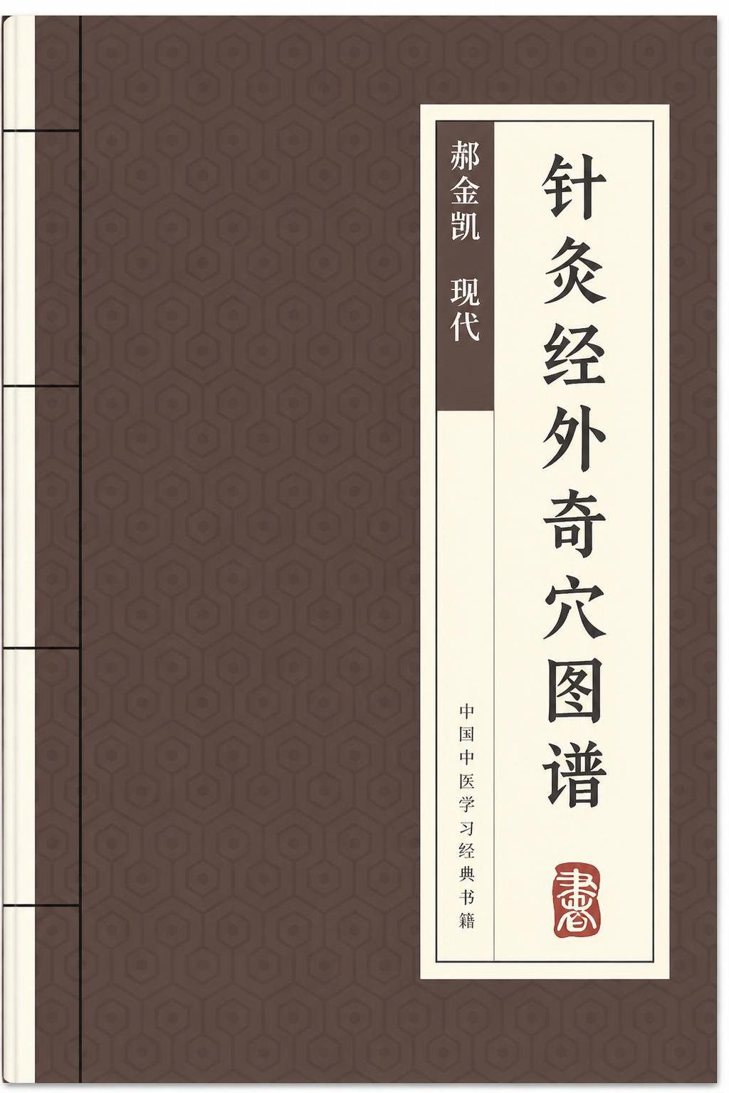 针灸经外奇穴图谱