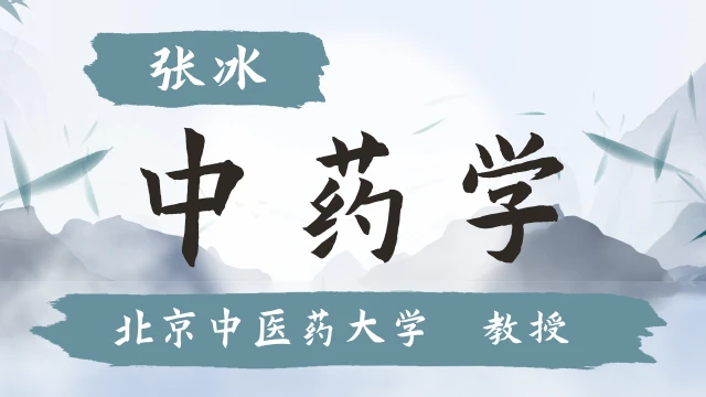 中药学-张冰-北京中医药大学-32讲全