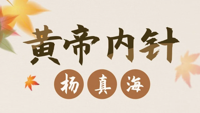 黄帝内针-杨真海